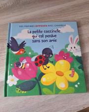 Livre La petite coccinelle qui est perdue sans son amie