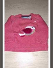 Petit pull oiseau 