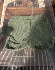 Short 6 M zeeman vert 