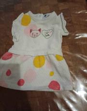 Robe 3 mois chat