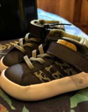 Adidas Roi lion P20