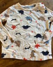 Haut dinosaure 