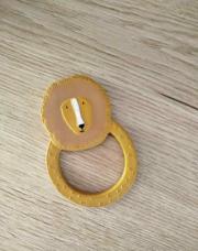 Lion dentition