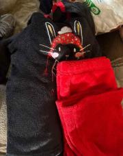 Pyjama lapin 8 ans 