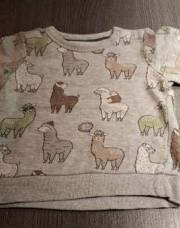 Sweat lama 80