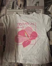 Tee shirt tropical 