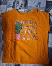 Tee shirt florida