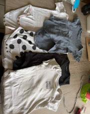 Lot 5 bodies manches courtes 2 ans
