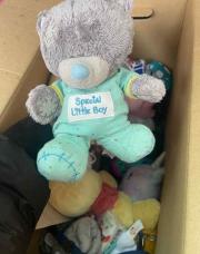 Teddy bear 