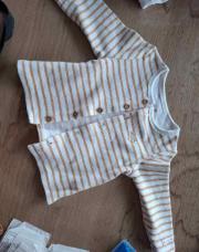 Gilet sergent major rayé marron 