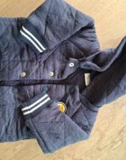 Gilet capuche tao chat 