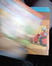 Le canard