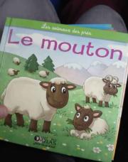 Le mouton