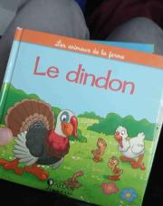 Le dindon