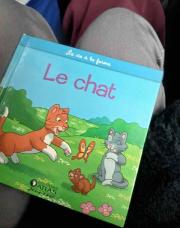 Le chat