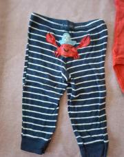 Legging crabe 12 mois 