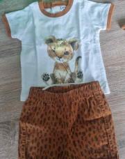 Ensemble 3m Lion 
