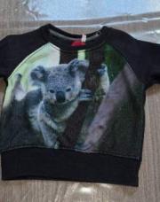 Pull koala JBC 68cm