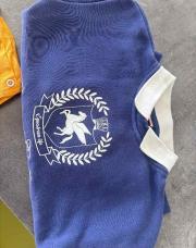 Pull bleu col blanc tao 5 ans 