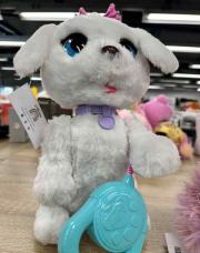 Chien blanc qui marche avec son