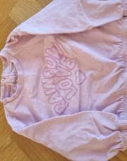 Sweat rose Rainbow love - 2A