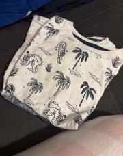 T-shirt palmier et tigre 