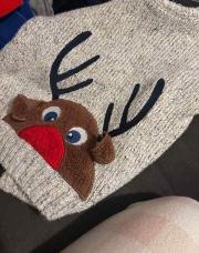 Pull renne Noël 
