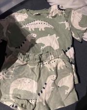 Ensemble dinosaures 12 mois