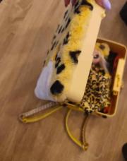 Chambre sac a dos avec poupée 