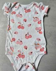 Body fruit carters 24m