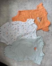 Lot 3 bodies 12 mois 