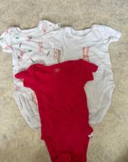 Lot 3 bodies 