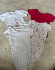 Lot 4 bodies 