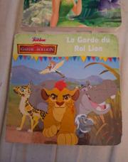 Livre garde du roi lion 