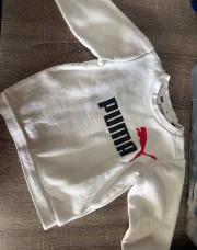 Pull puma t80
