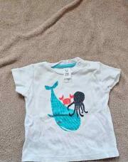 Tshirt blanc animaux marins 6M