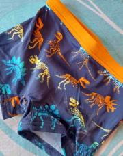Maillot t2ans dinosaures 