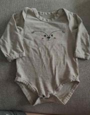 Body renard 6M