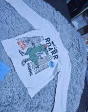 Sous pull Dino ROARR