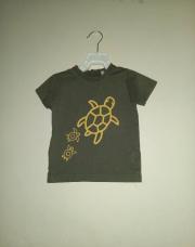 Tshirt tortue 18mois