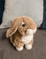 Peluche Lapin Neuf