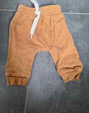Jogging brun