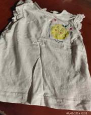 Top citron 80