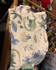 T’shirt 12 M Dinosaure claire 