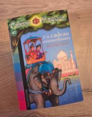 Livre cabane magique N°40