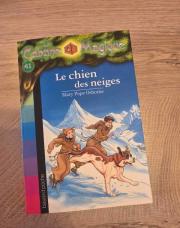Livre cabane magique N°41