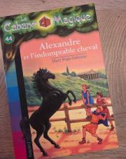 Livre cabane magique N°44