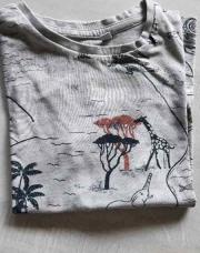  Ti shirt gris 7 ans CA