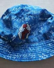  Bob Spiderman bleu