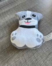 Chien gris 
